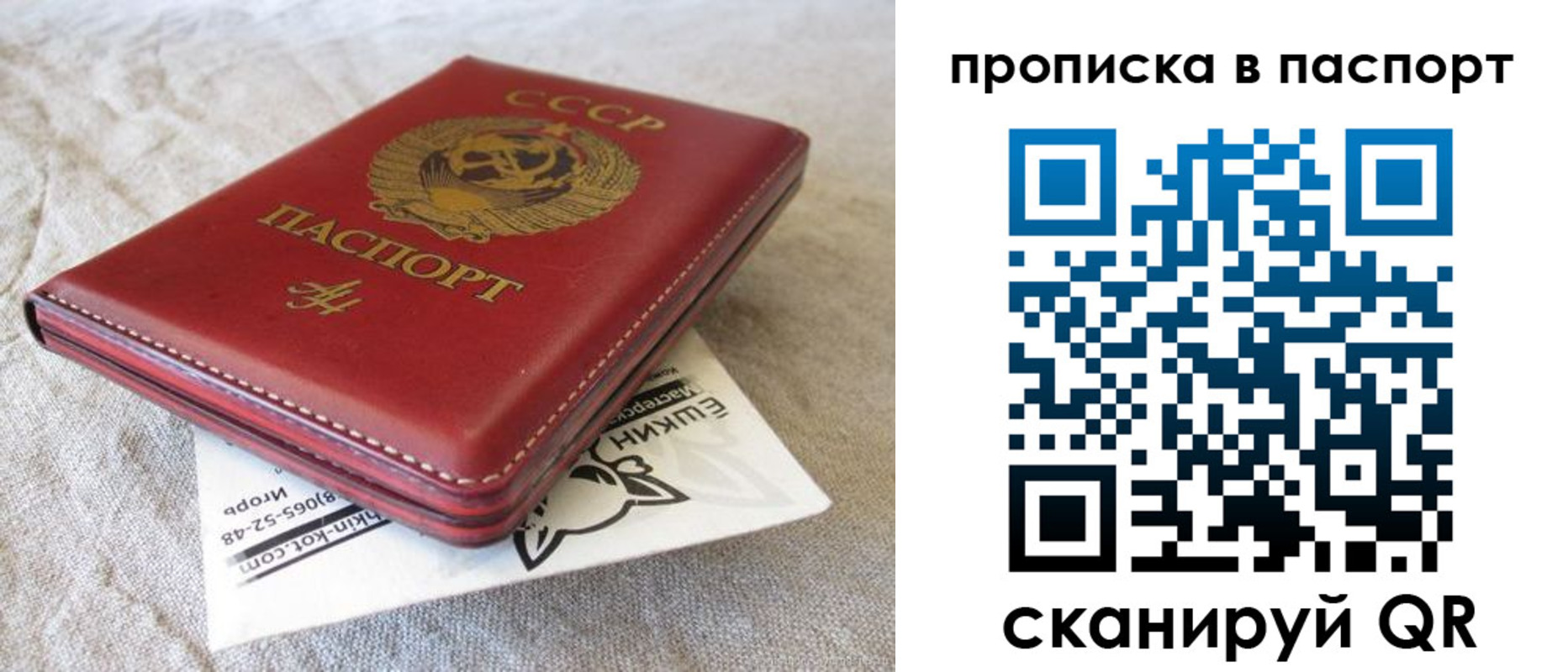 прописка штамп в Димитровграде