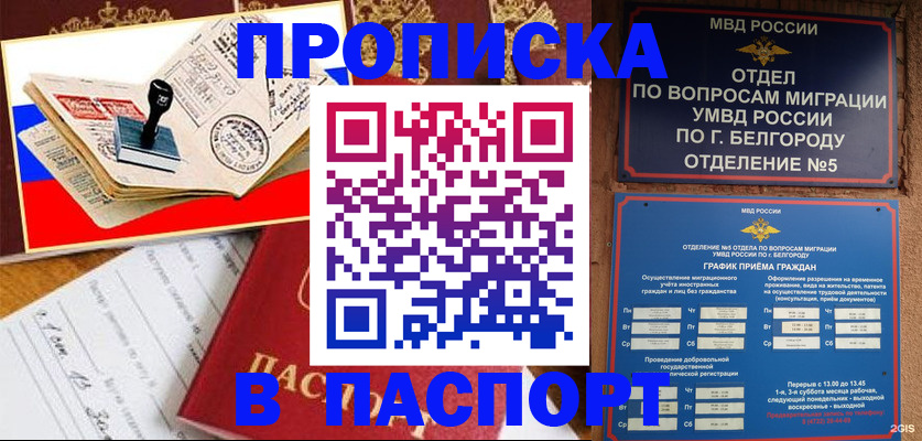 купить прописку в Димитровграде