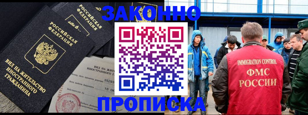 прописка 2025 в Димитровграде